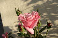 DSC06715.JPG (408063 bytes)
