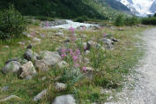 DSC05851mont-river.JPG (474992 bytes)